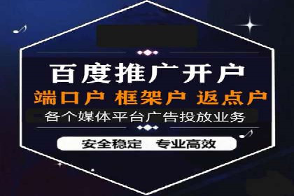 行业领先SEM服务公司案例研究